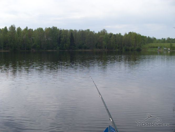 Рыбацкий слет