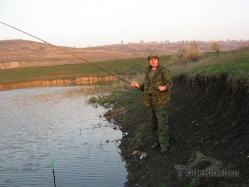 Маховые удилища