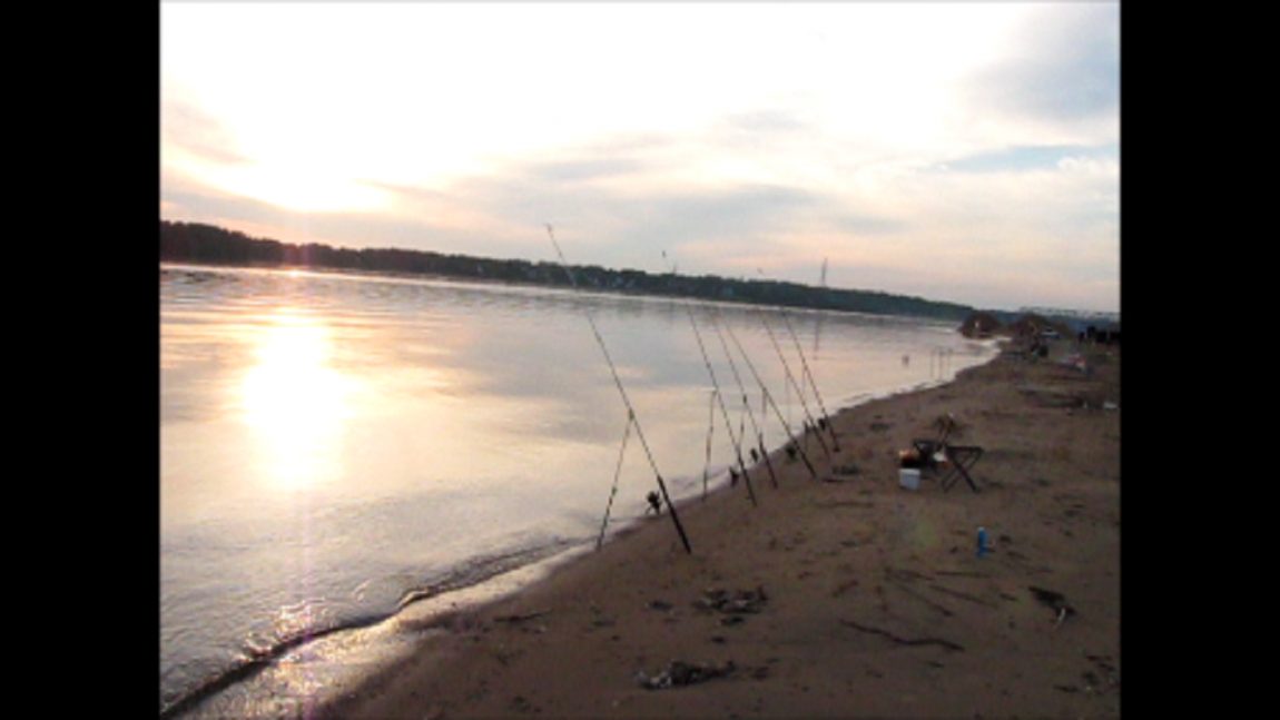 Летняя рыбалка на Угличском водохранилище