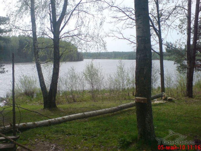 На слиянии рек Десны и Стряны