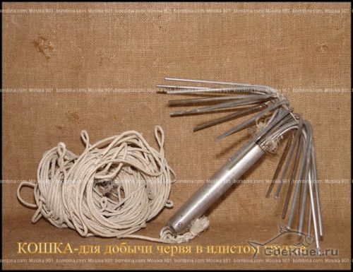 кошкеа для добычи червя