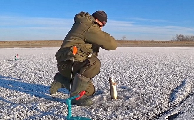 Щука на жерлицы, шарман на мормышку. Первый лед 2020-21