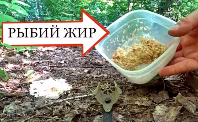 Реакция рыбы на рыбий жир! Подводная съёмка.