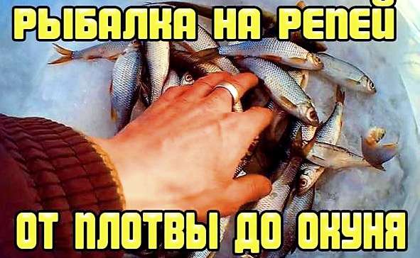 Зимняя рыбалка на репей. Ловля плотвы, рыбалка на мормышку.