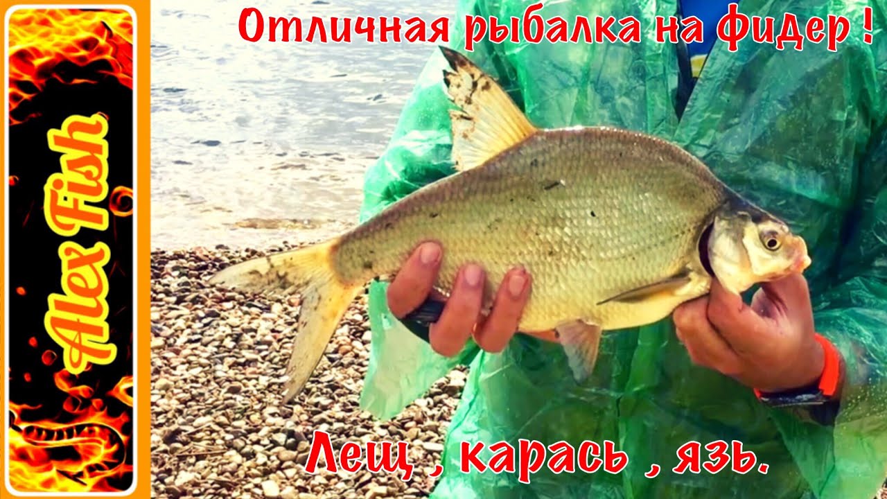 Рыбалка на фидер. Караси, лещ и язь.