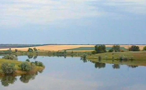 2013 Сальский р-он, Ивановские пруды.