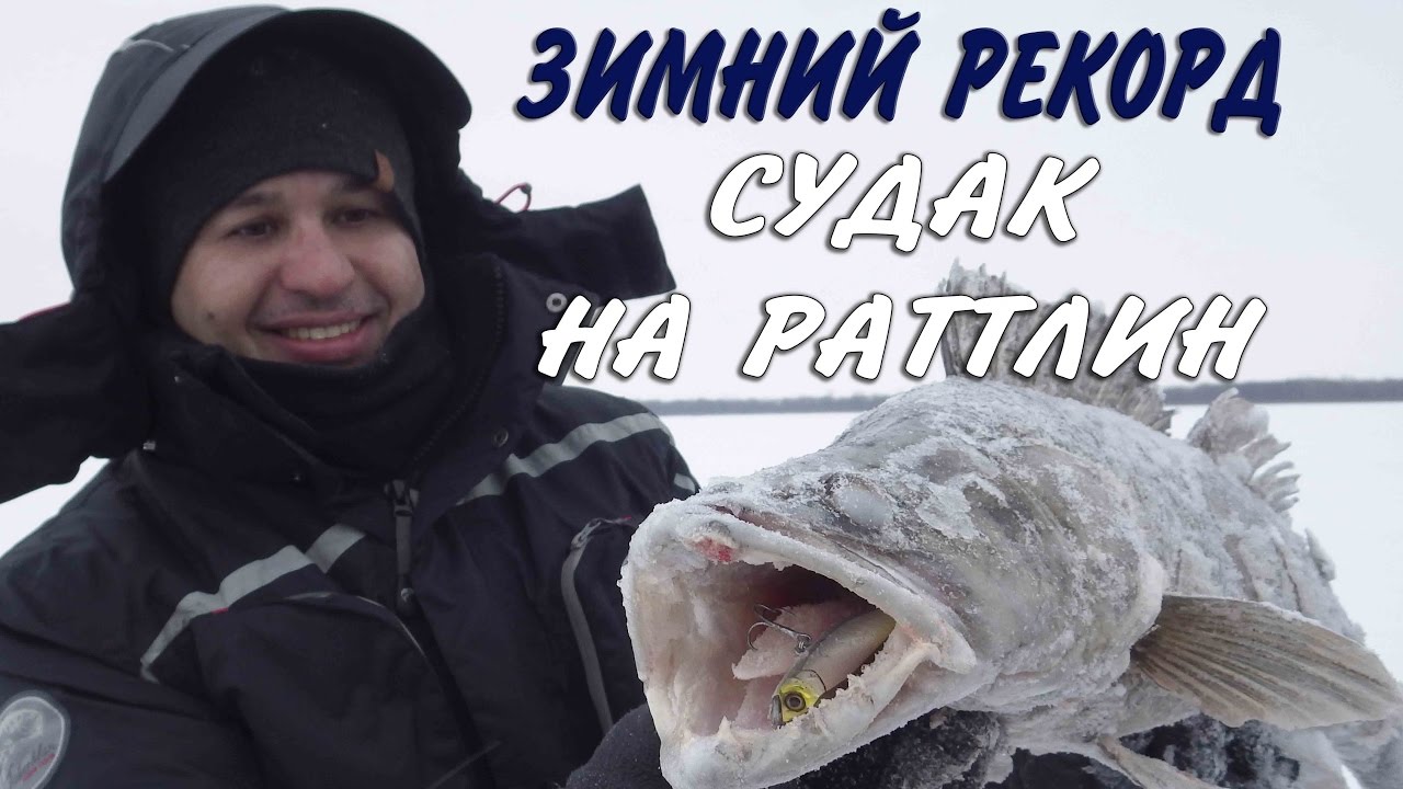Зимний рекорд. Судак на раттлин.