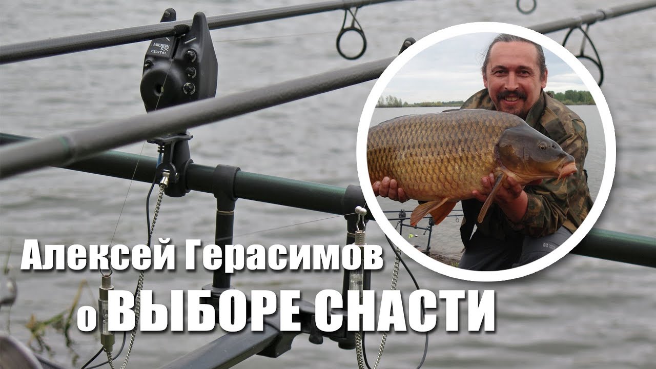 Карповые снасти и снаряжение для новичка