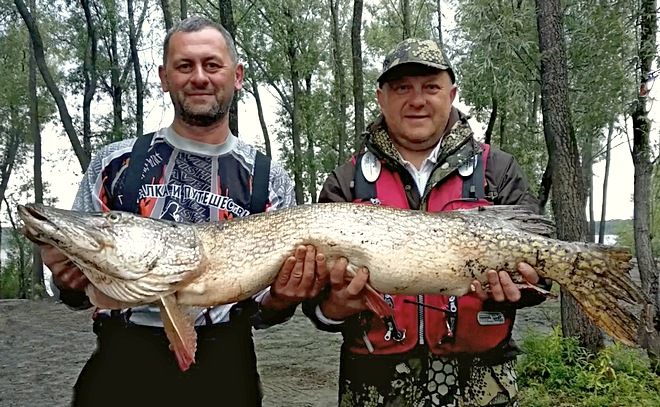 Рыбалка на Иртыше. Август 2018 года.&nbsp; часть1