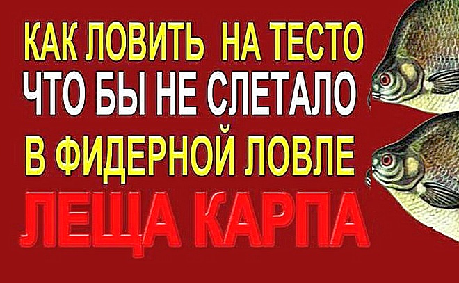 Как ловить леща и карпа на тесто
