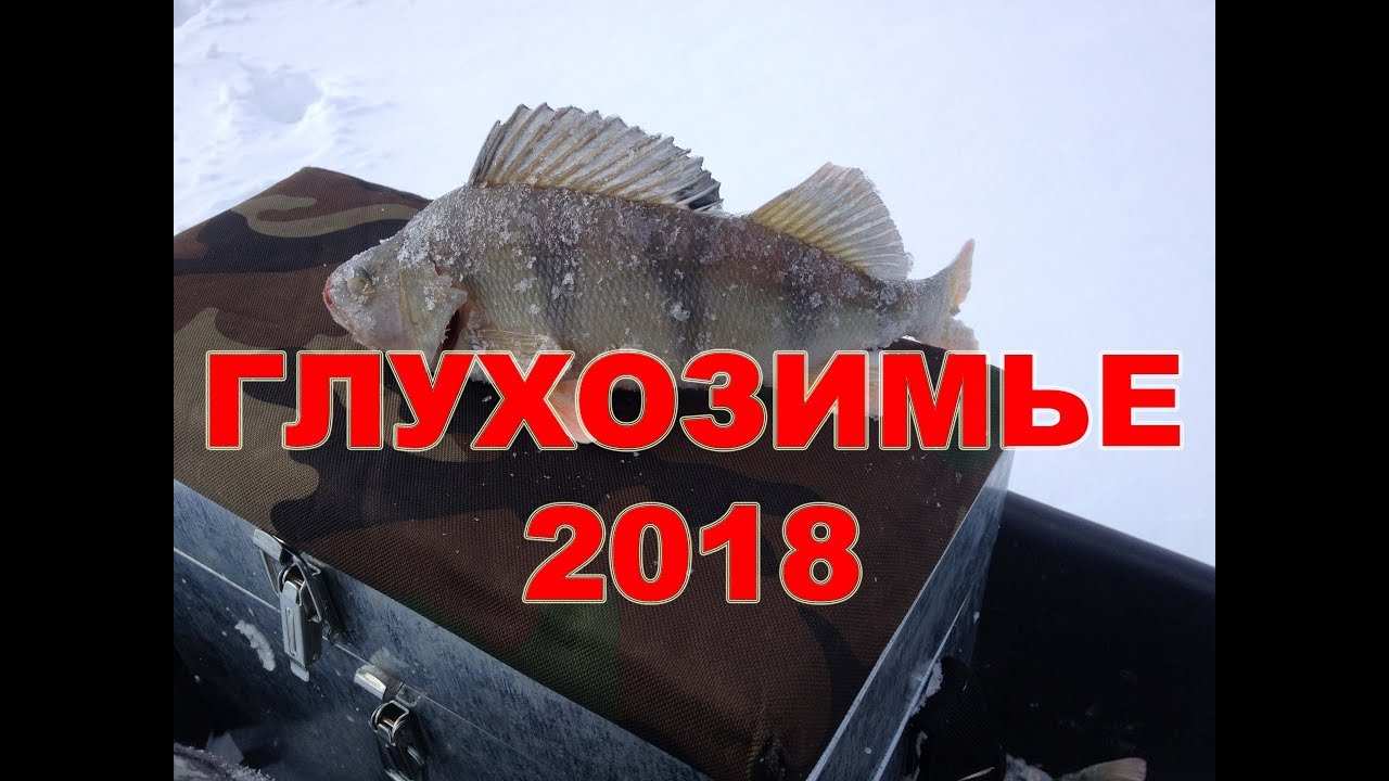 Кто сказал - глухозимье?! Ловим окуня в корчах.