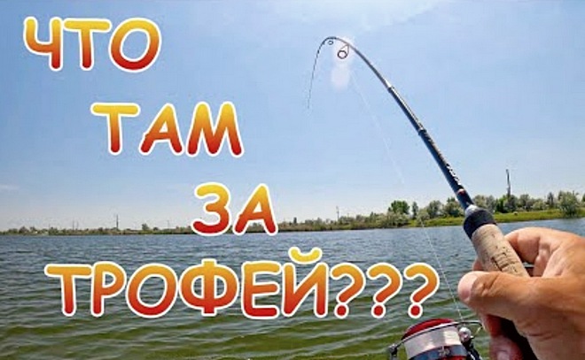 Поиск окуня на озере. Джиг с лодки. Окунь бил котлы!