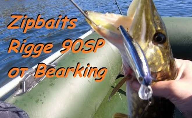 Ловля щуки в траве на копию воблера Zipbaits Rigge 90SP