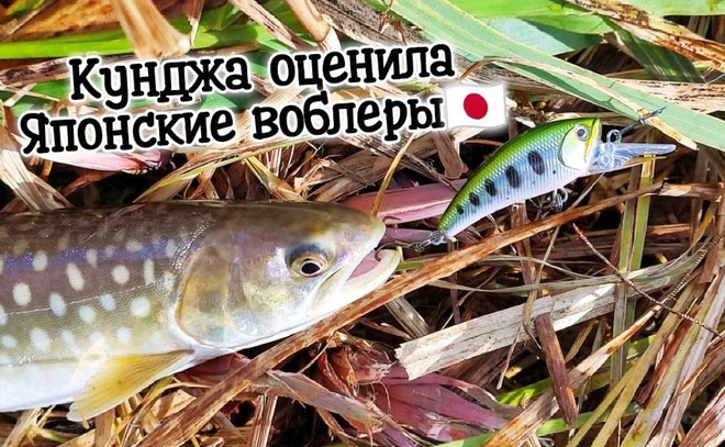 Рыбалка в устье озера Тунайча