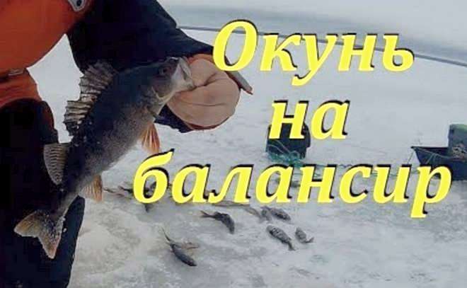 Ловля окуня на балансир Rapala. Жор окуня на жабу.