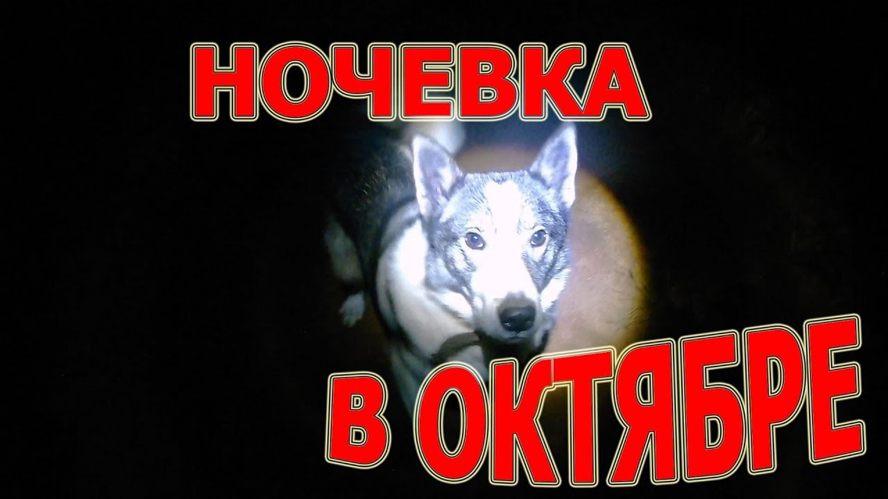 Ночевка в октябре