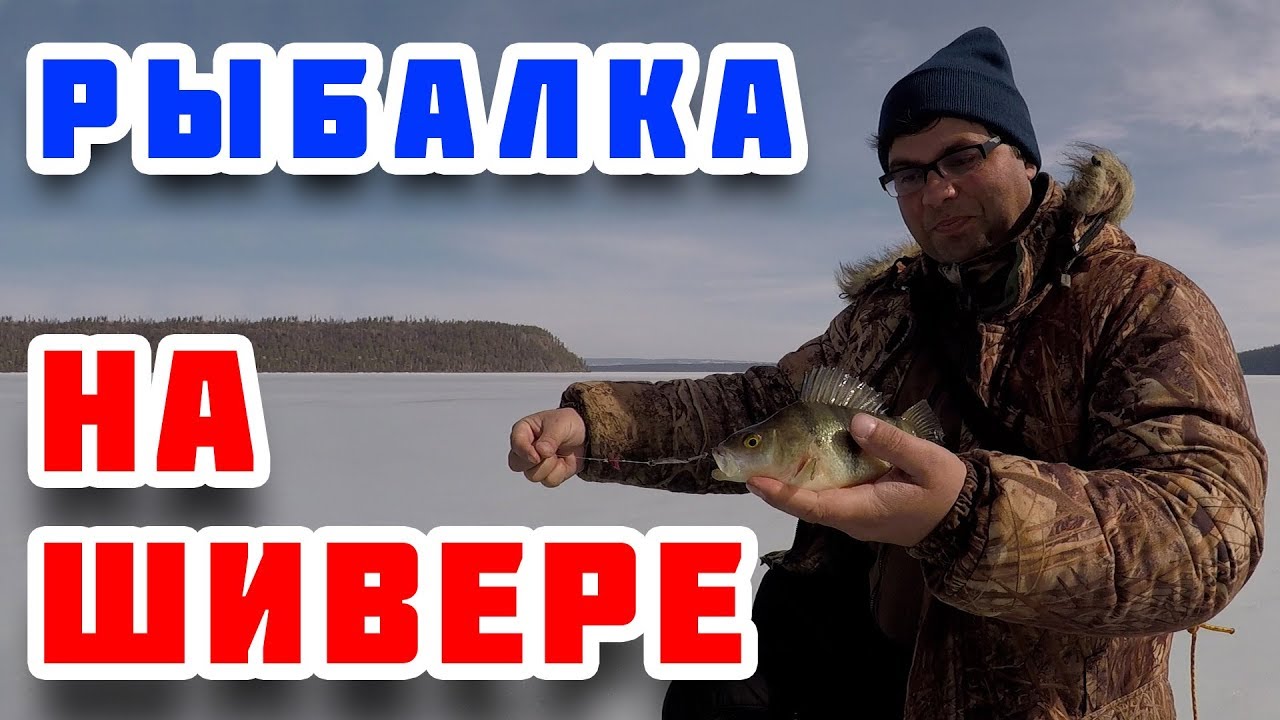 Дождаться крупного окуня