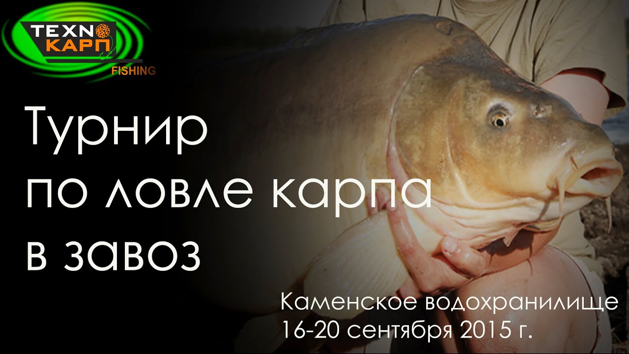 Ловля трофейного карпа на соревнованиях