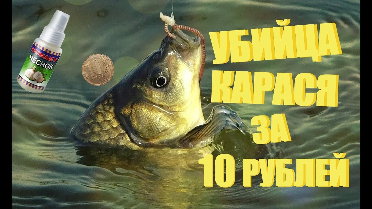 Суперароматизатор для ловли карася за 10 рублей своими руками!