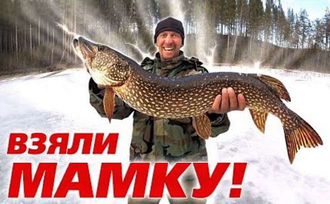 Трофейная щука на жерлицы! Три дня в тайге. Подводная съёмка.