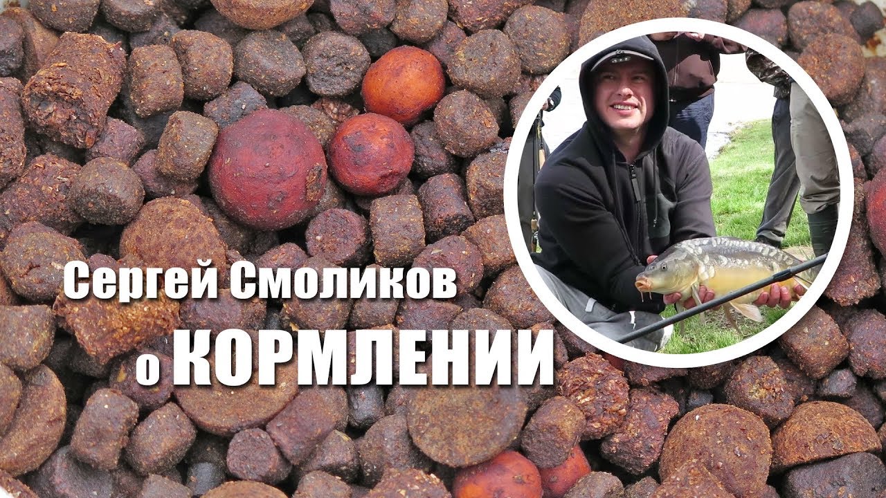 Кормление карпа. Все хитрости.