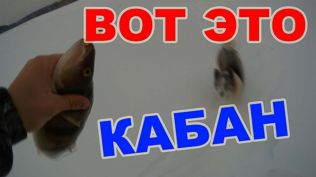 Федька помирает, ухи просит. Вот это кабан!