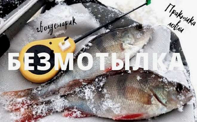 Рыбалка на безмотылку в глухозимье. Гвоздешарик.