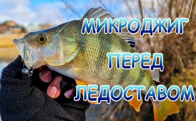 Зимний микроджиг на реке. Окунь на пассивные приманки.
