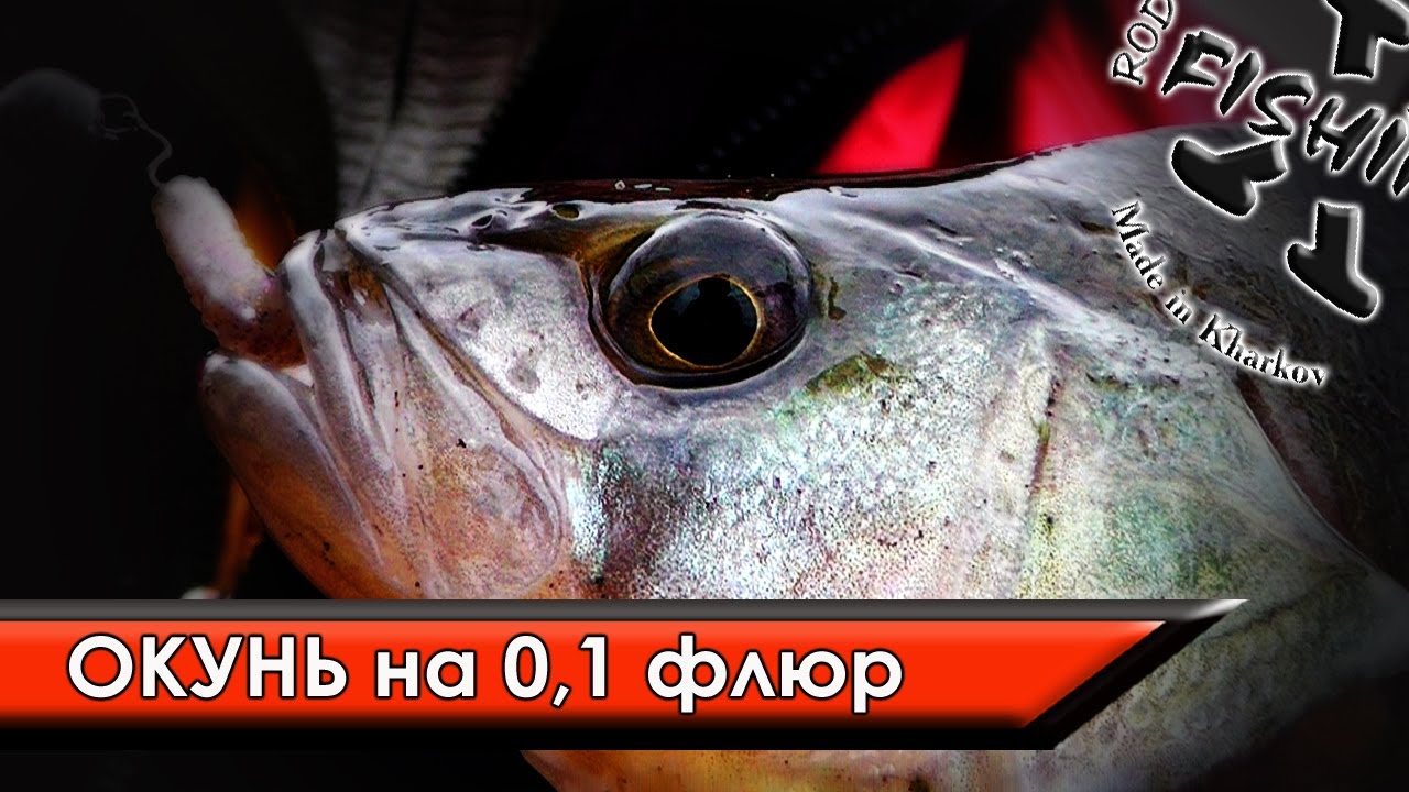 Зимний спиннинг. Видео.&nbsp; часть3