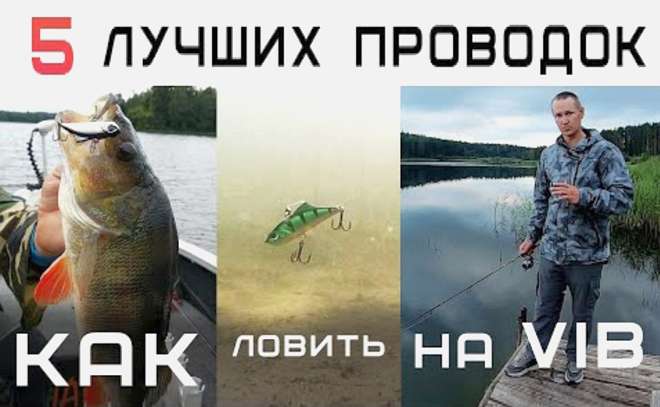 Как ловить на раттлины летом? 5 лучших проводок!