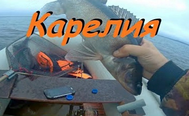 Рыбалка в Карелии. Троллинг. Ловля судака.