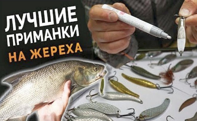 Самый уловистый монтаж на жереха