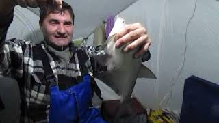 Залив Огур, Балахтинский район&nbsp; часть3