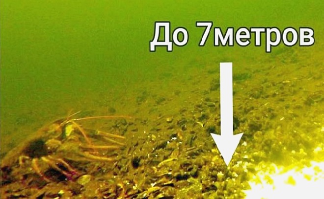 Как и где поживает рак в глухозимье? Подлёдная съёмка раков.