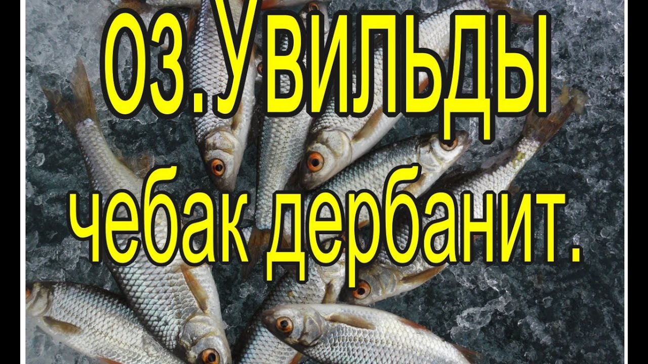 Озеро Увильды, апрель 2017. Чебак один за другим.