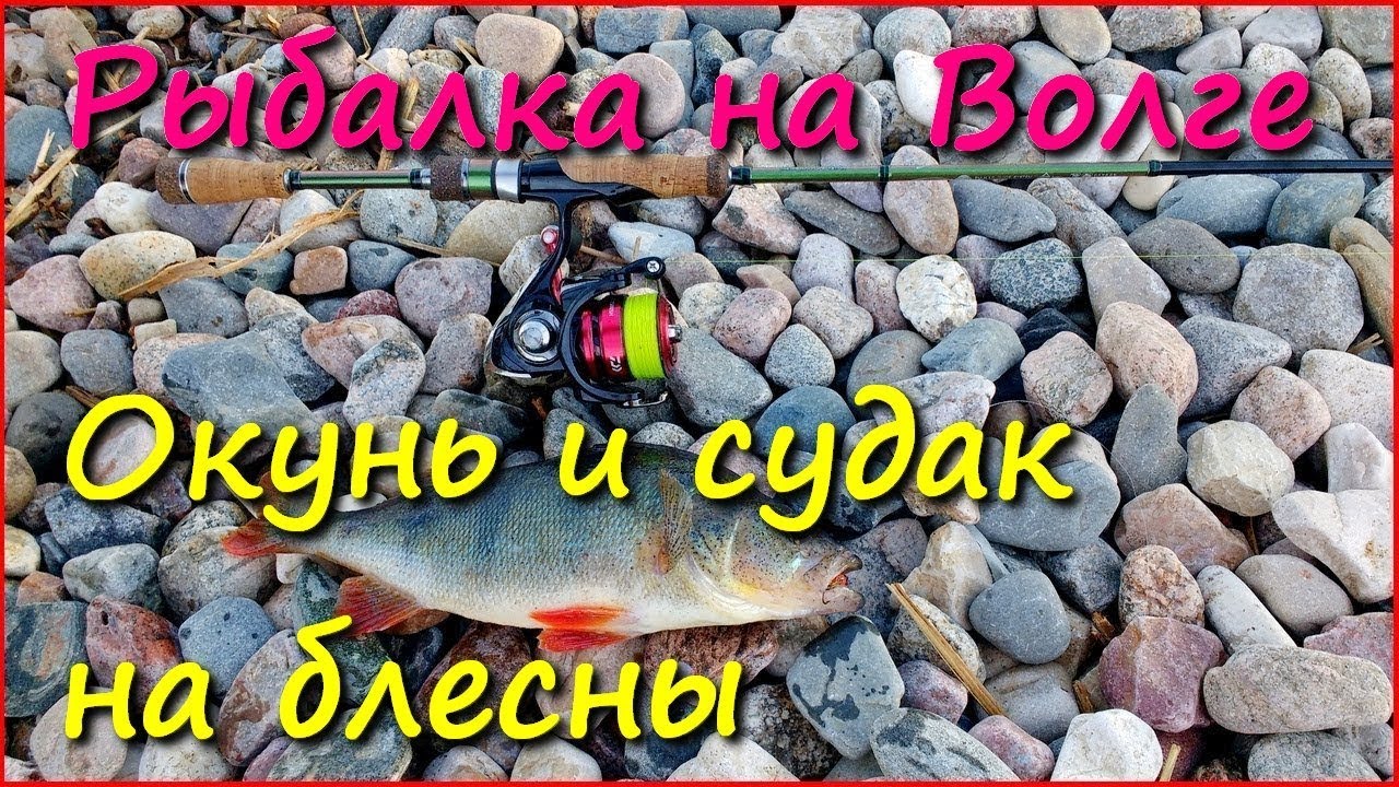 Ловля окуня и мелкого судака на блесну в июле