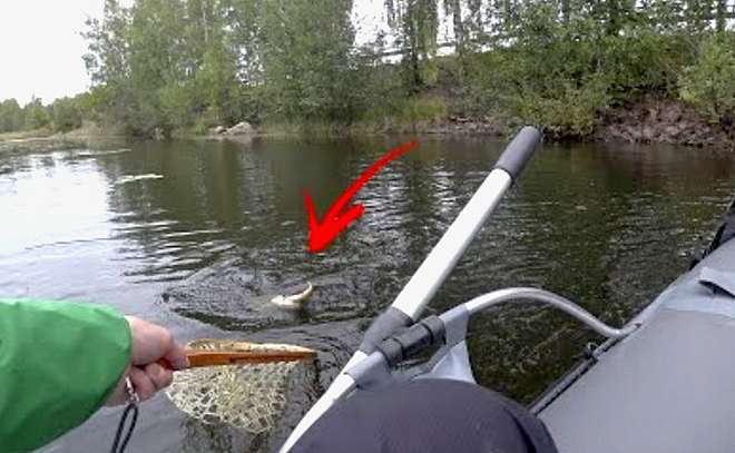 Щука на краснопёрку. На мормышку с каяка.