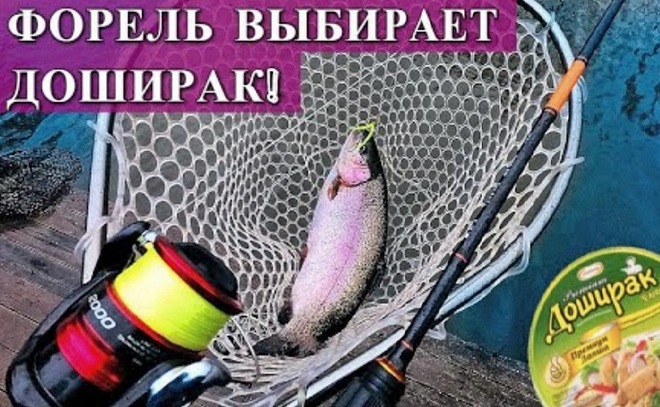 Ловля форели на убойную приманку. Доширак ловит форель!
