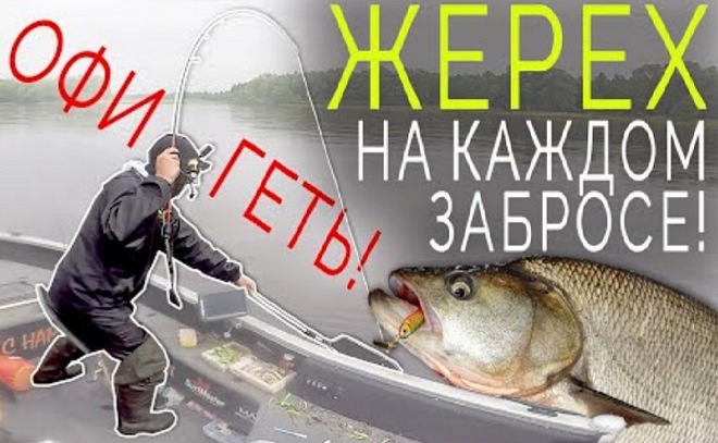Шок! Жерех на каждом забросе!