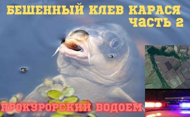 Карась как из пулемета. Часть 2.