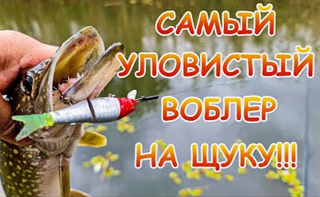 Твичинг осенью в окнах открытой воды