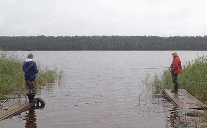 Речка Бурная (Приозерский район)