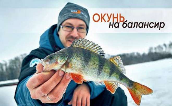 Где искать окуня зимой? Ловля на балансир.