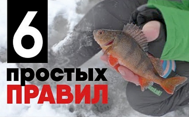 Как наловить окуней на мормышку