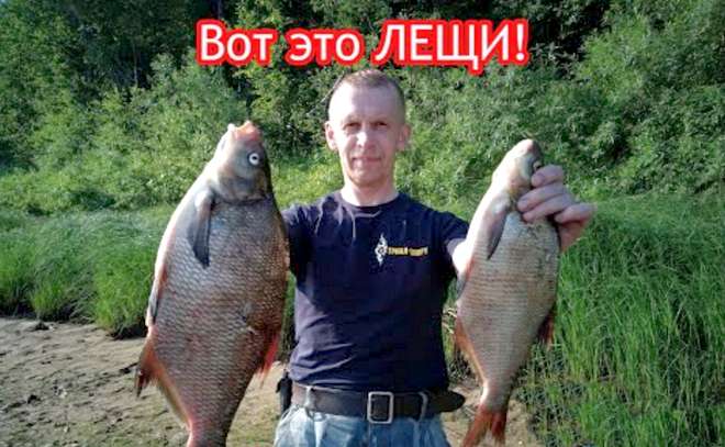 Первый фидер.