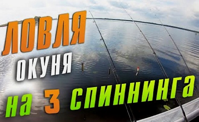 Быстрая и эффективная ловля окуня на три спиннинга сразу