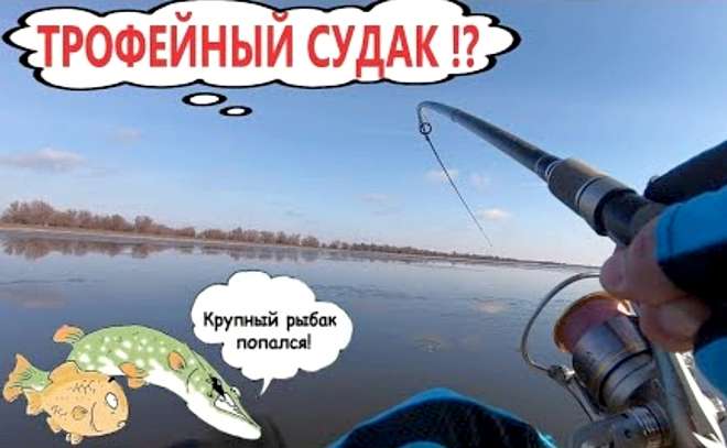 Трофейный судак? Эта приманка ловит!