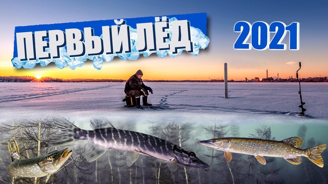 Первый лёд 2021. Ловля щуки зимой на жерлицы. Pike fishing.