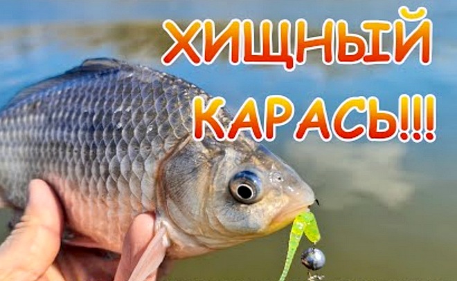 С микроджигом на реку. Карась на пассивные приманки.