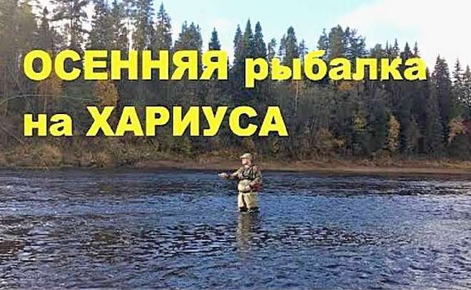 Осенняя ловля хариуса в Архангельской области